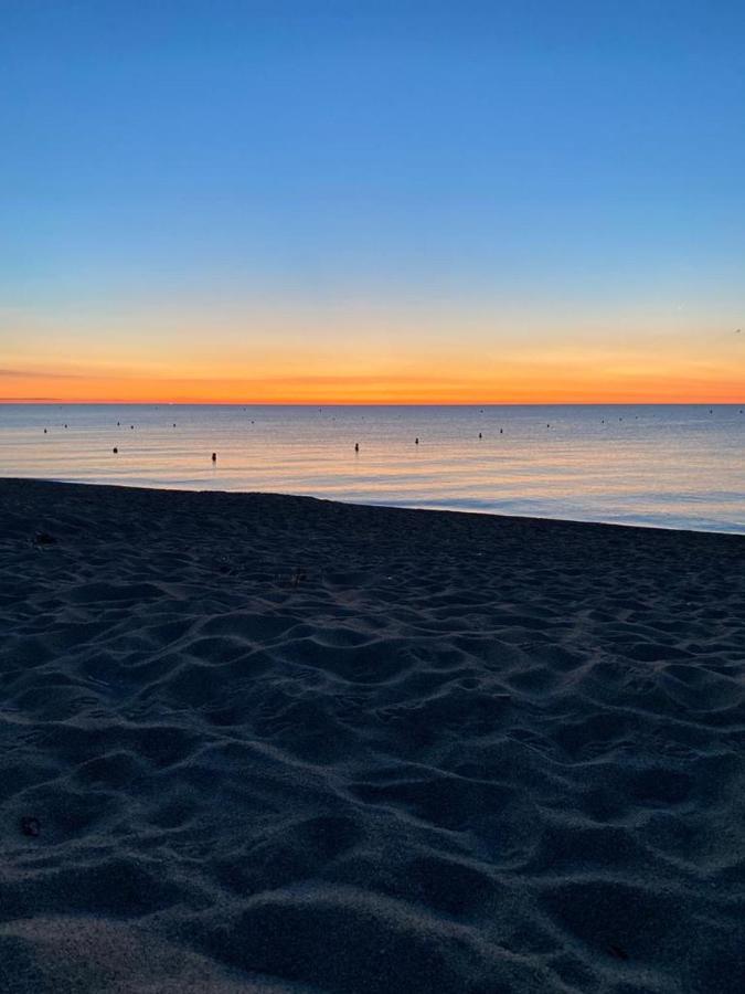 Un Petit Nid Les Pieds Dans L'Eau Apartment Argeles-sur-Mer Bagian luar foto